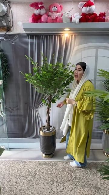 بنجامین مصنوعی ۱۵۰ سانت (در ارتفاعات مختلف موجوده)