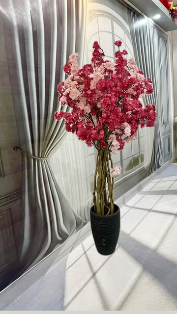 درختچه های شکوفه در رنگ بندی و ارتفاع مختلف ۱۷۰