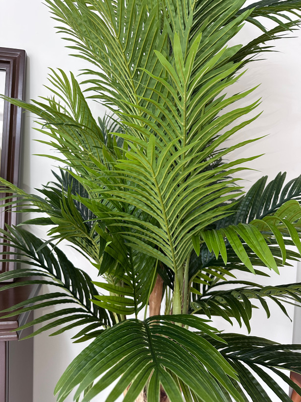 خرید درختچه مصنوعی کنتیا خاص جذاب