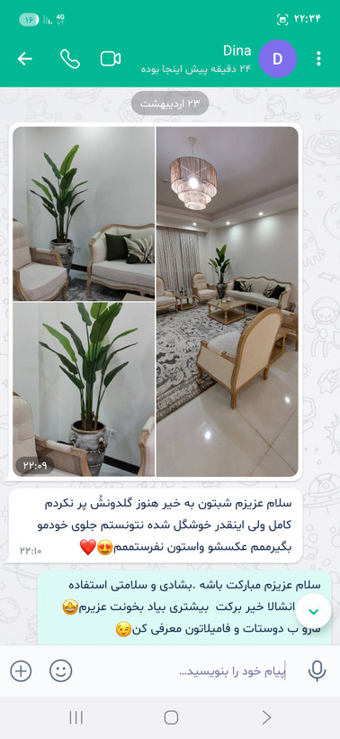 درختچه مصنوعی پرنده بهشتی با برگ های لمسی و براق وارداتی