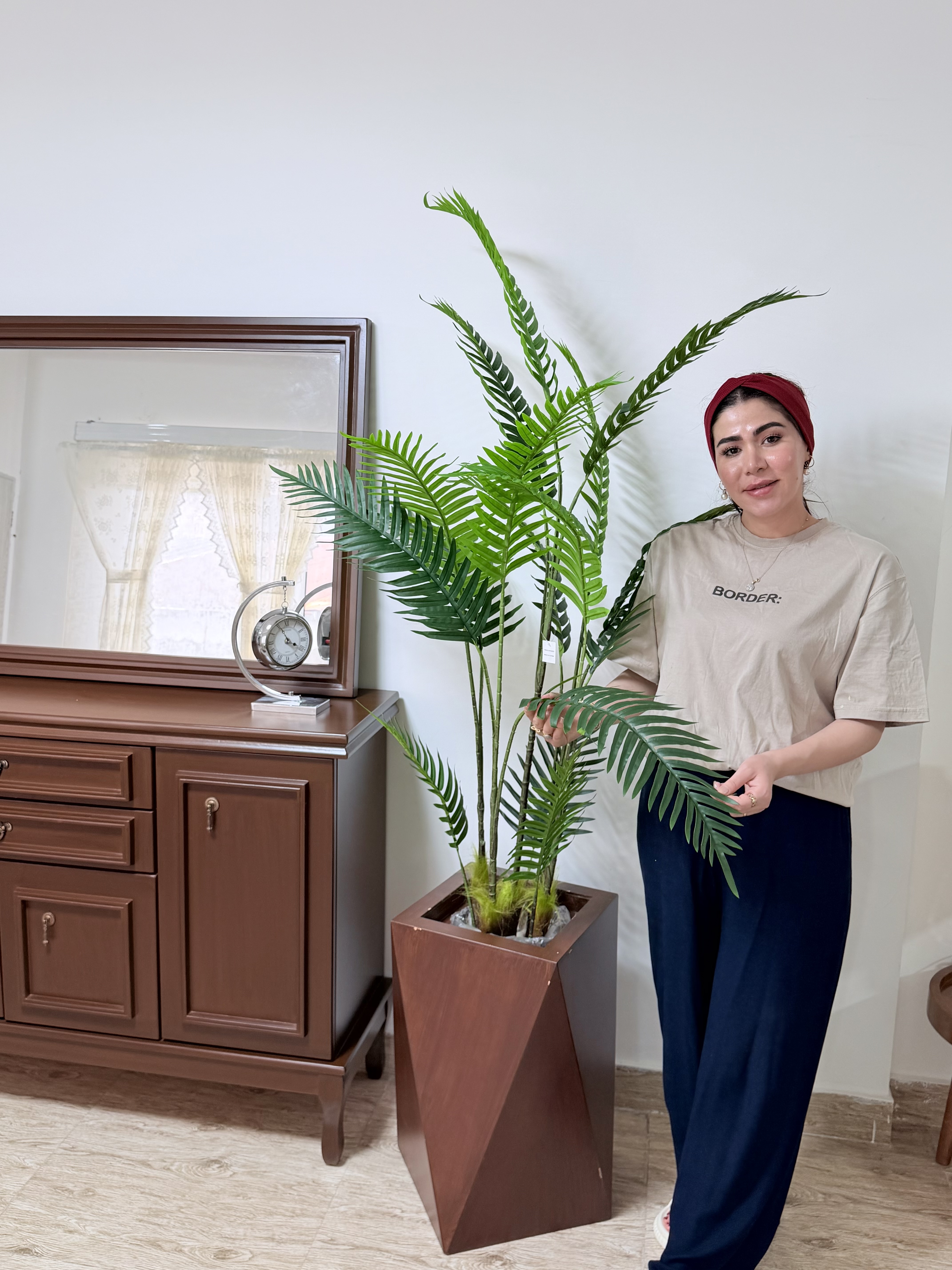 خرید درختچه نخل درجه یک ارسال برسراسر کشور