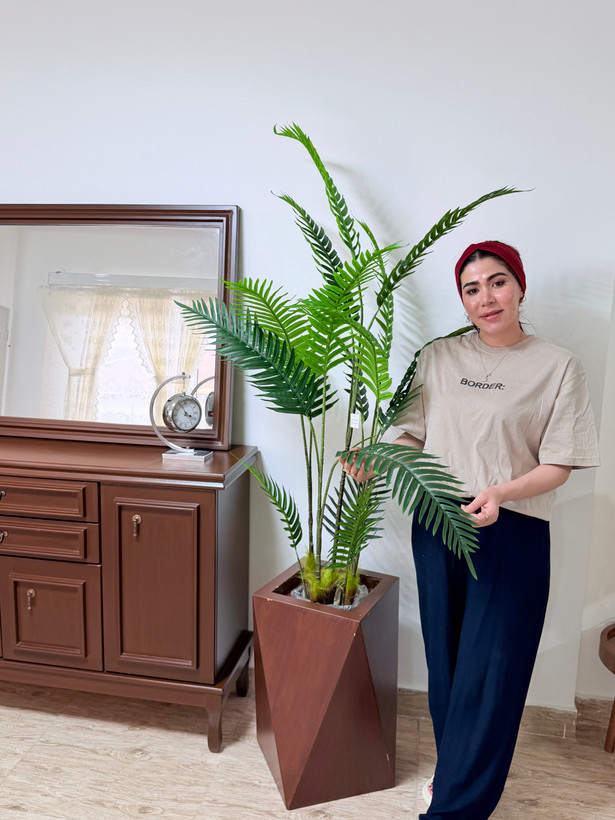 خرید درختچه نخل درجه یک ارسال برسراسر کشور