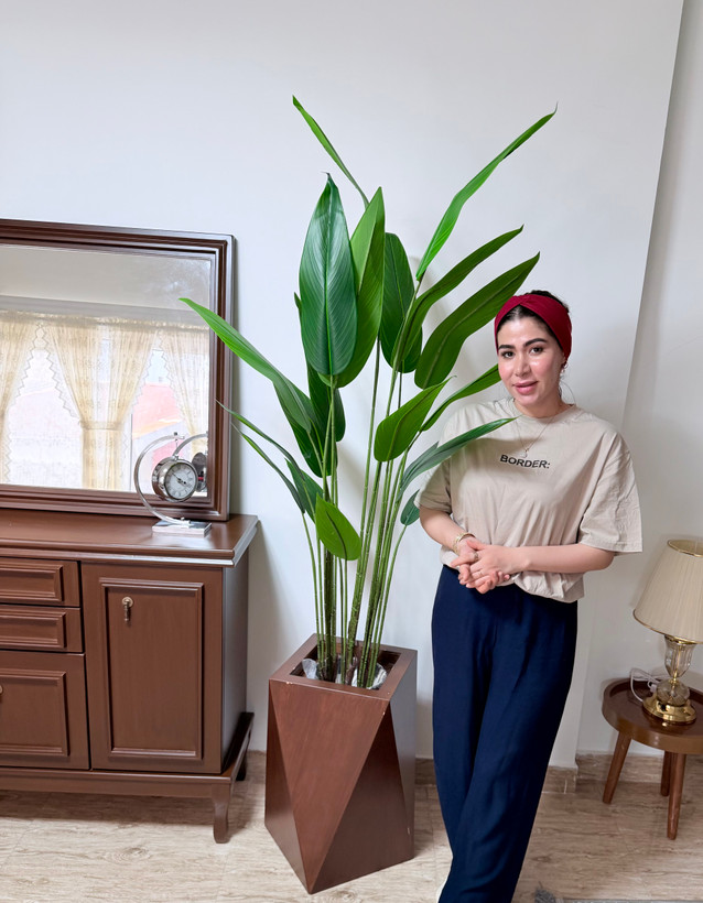 خرید پرنده بهشتی ۱۹ برگ با ارتفاع ۱۸۰ وارداتی درجه یک