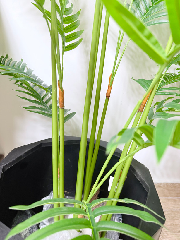 درختچه مصنوعی اریکا(نخل) درختچه مصنوعی شامادورا ارتفاع ۱۸۰ وارداتی درجه یک کاملا مشابه طبیعی