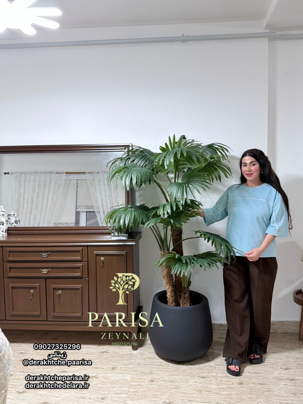 درختچه مصنوعی پالم ارتفاع دومتر وارداتی درجه یک (کاملا مشابه طبیعی )